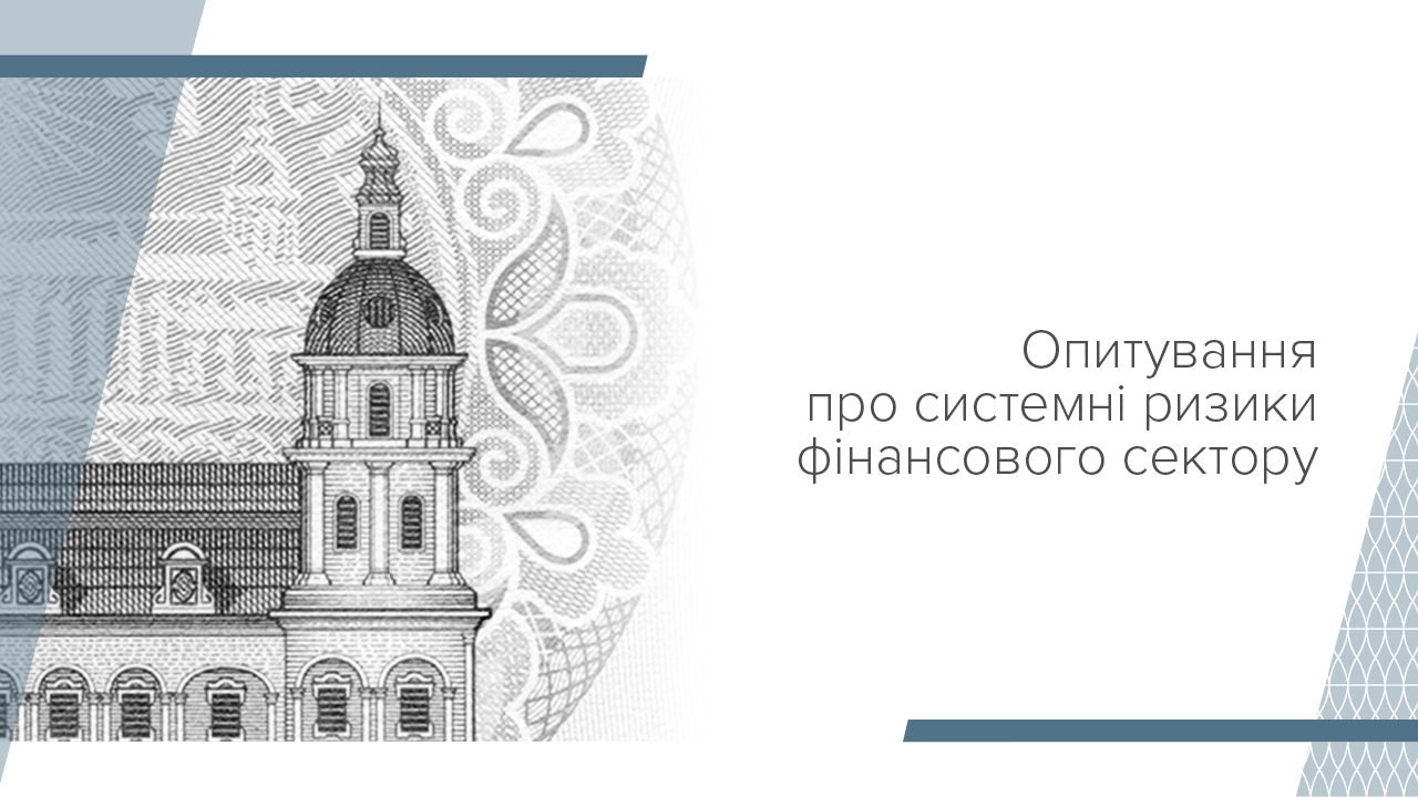 Опитування про системні ризики фінансового сектору, травень 2024 року