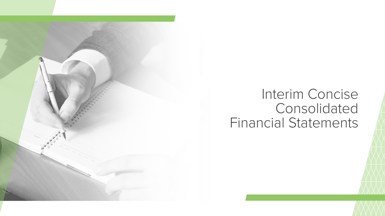 Interim Concise Consolidated Financial Statements for the period ended 30 June 2024